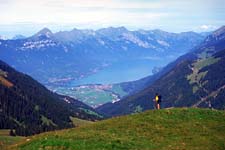 view of Brienzersee (lake) from Renggli Pass