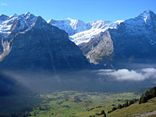 Grindelwald area